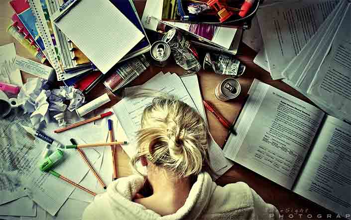 Dissertation research